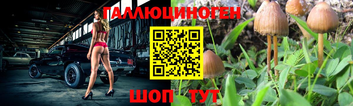 Галлюциногенные грибы GOLDEN TEACHER  Вход с VPN  Людиново 