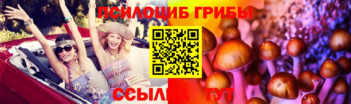 Галлюциногенные грибы Cubensis Людиново